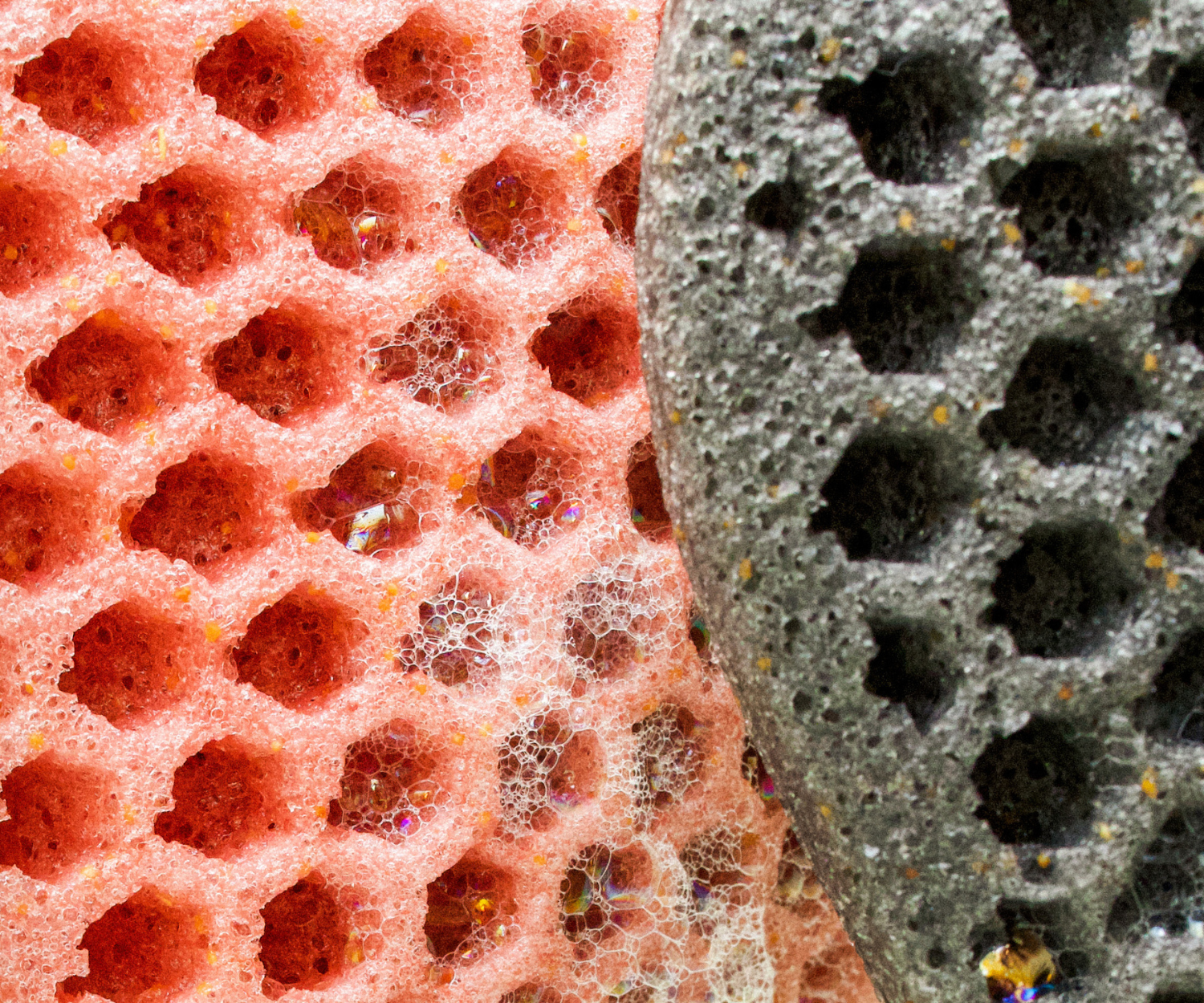 Casamera Scrubber Pack