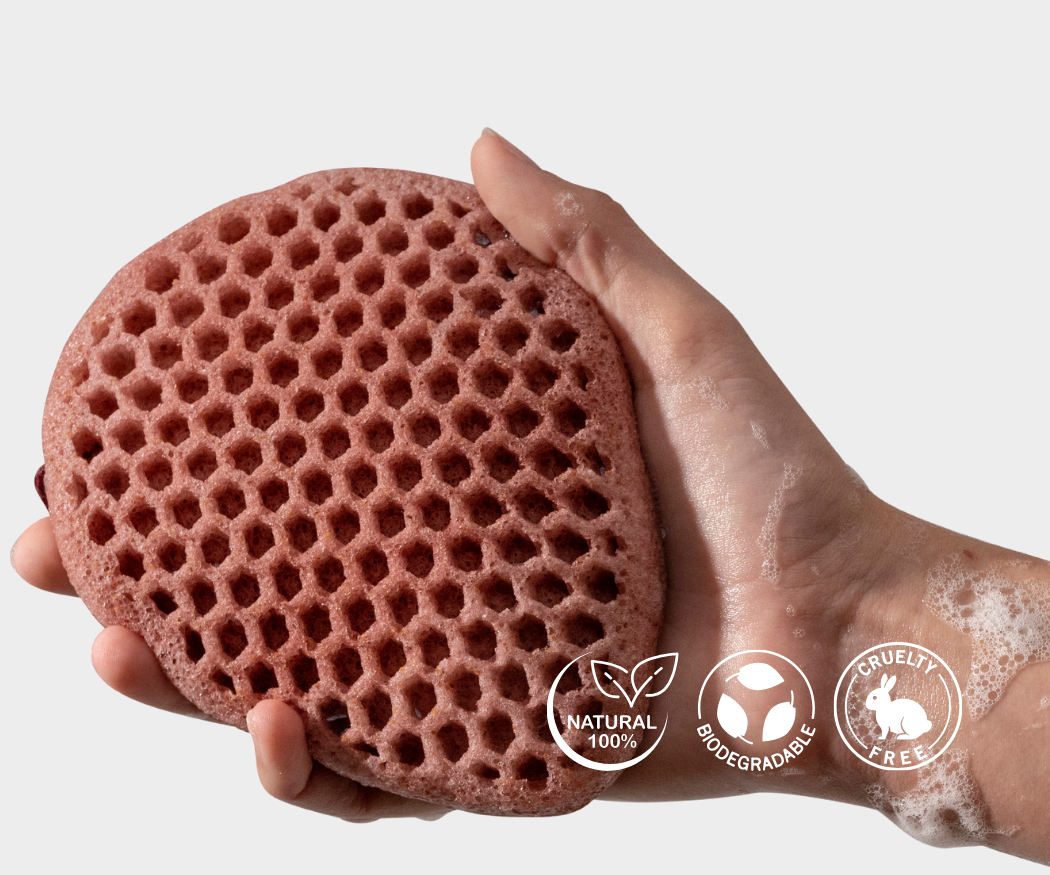 Casamera Scrubber Pack