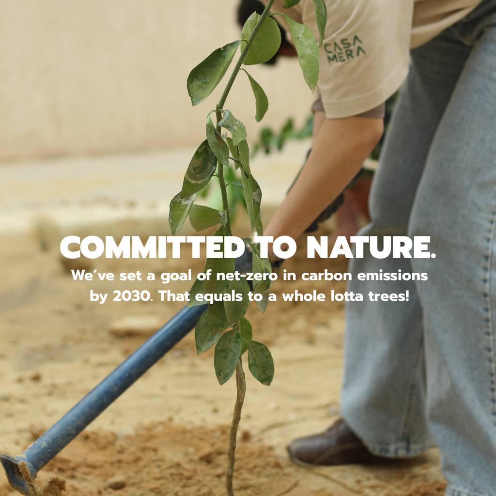 Casamera Body Scrubber