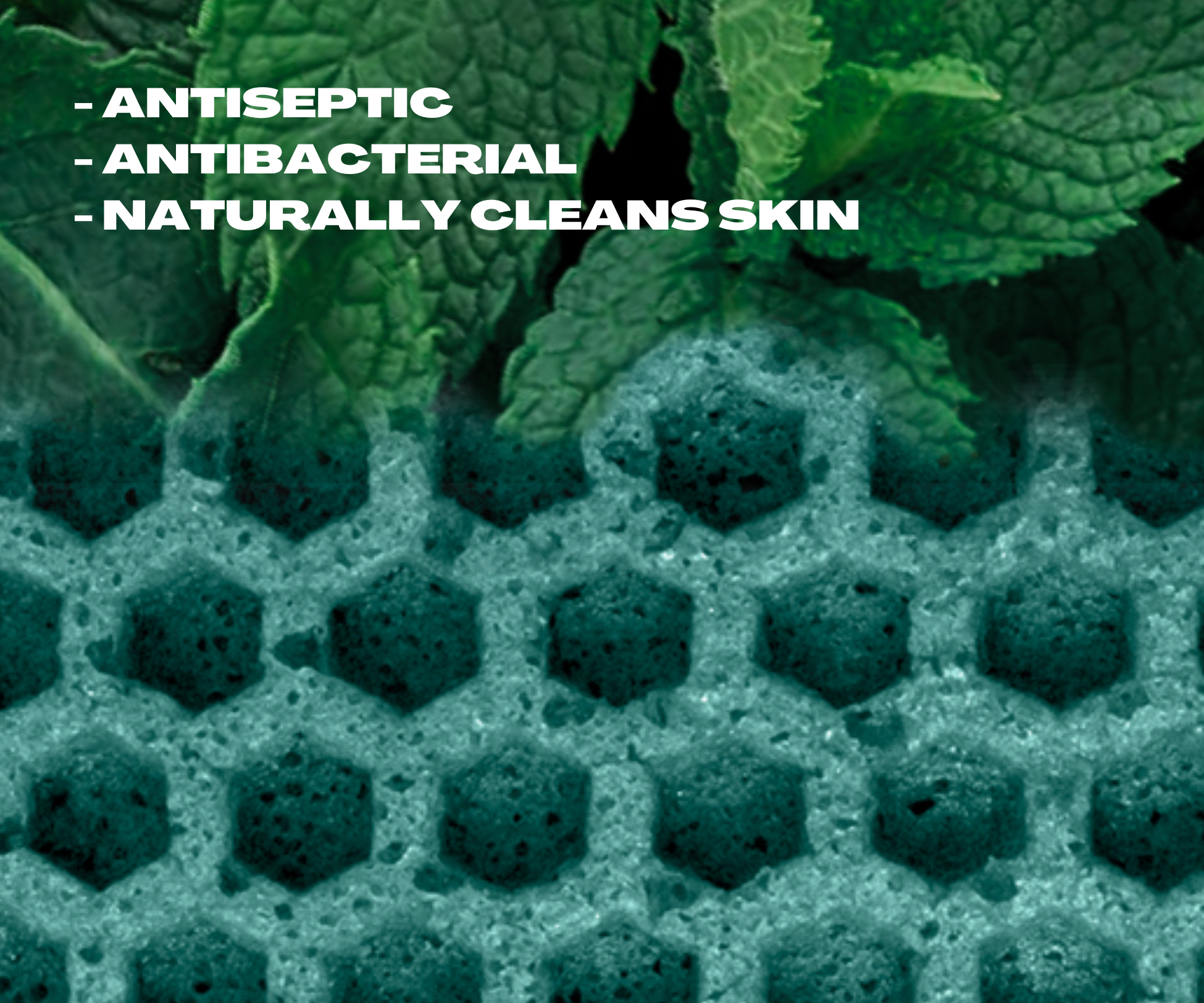 Casamera Scrubber Pack