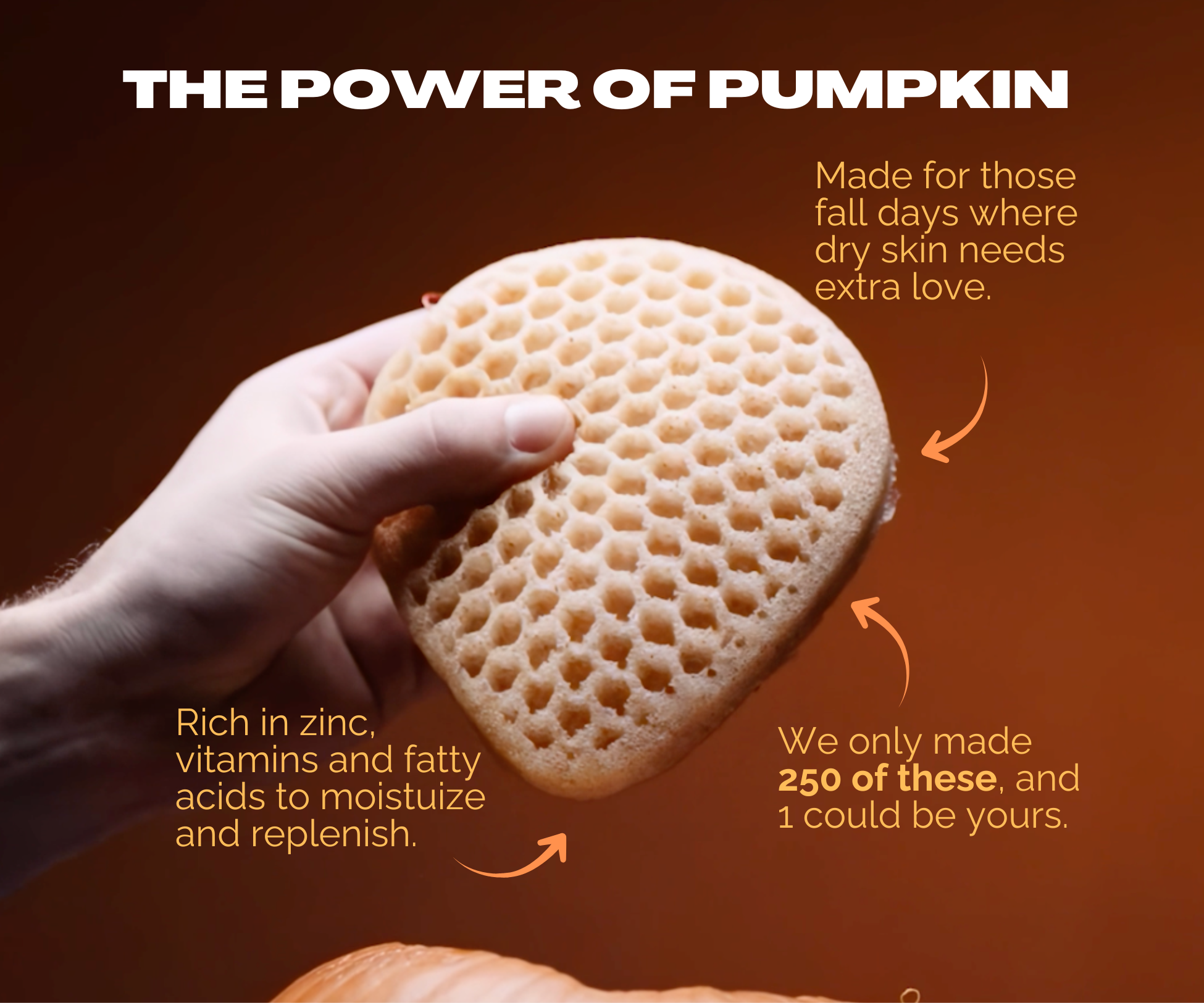 Casamera Body Scrubber